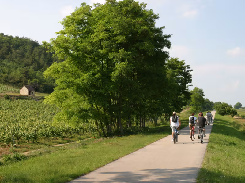 Voie verte à Étivau - Bourgogne du Sud