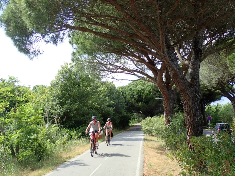 Piste cyclable à Fréjus