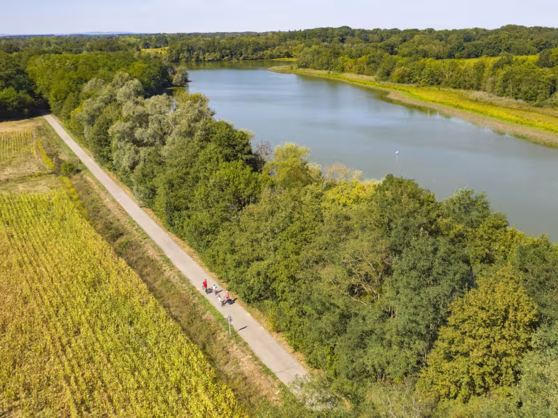La Voie Bressane - à vélo au bord de l'Étang des claies