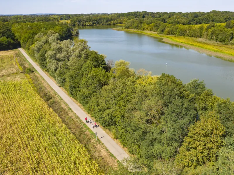 La Voie Bressane - à vélo au bord de l'Étang des claies