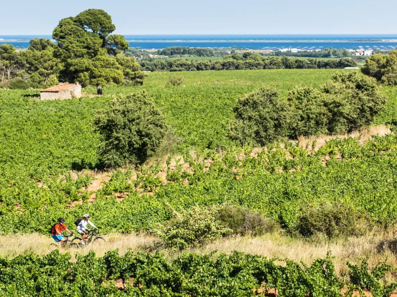 VTT sur les chemins près de l'étang de Thau