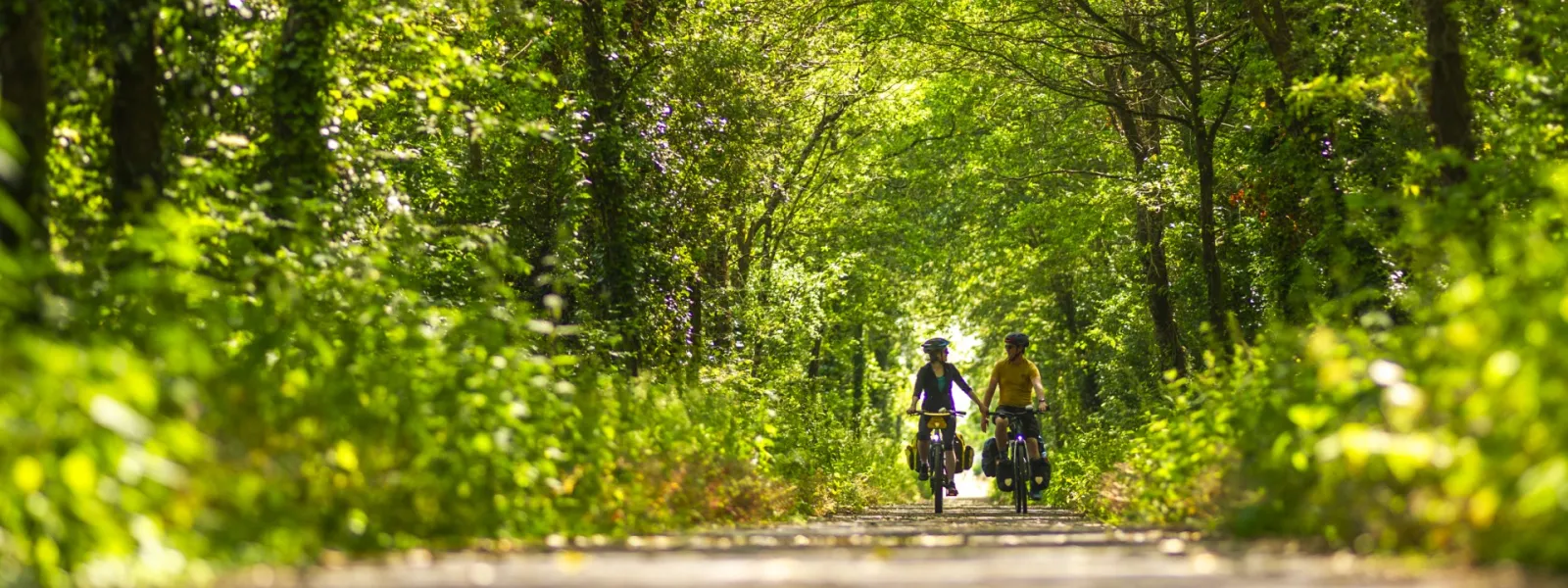 voie verte la flèche baugé sur la vélobuissonière