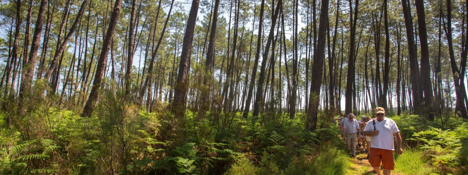 Lagunes du Gât Mort à Saint-Magne