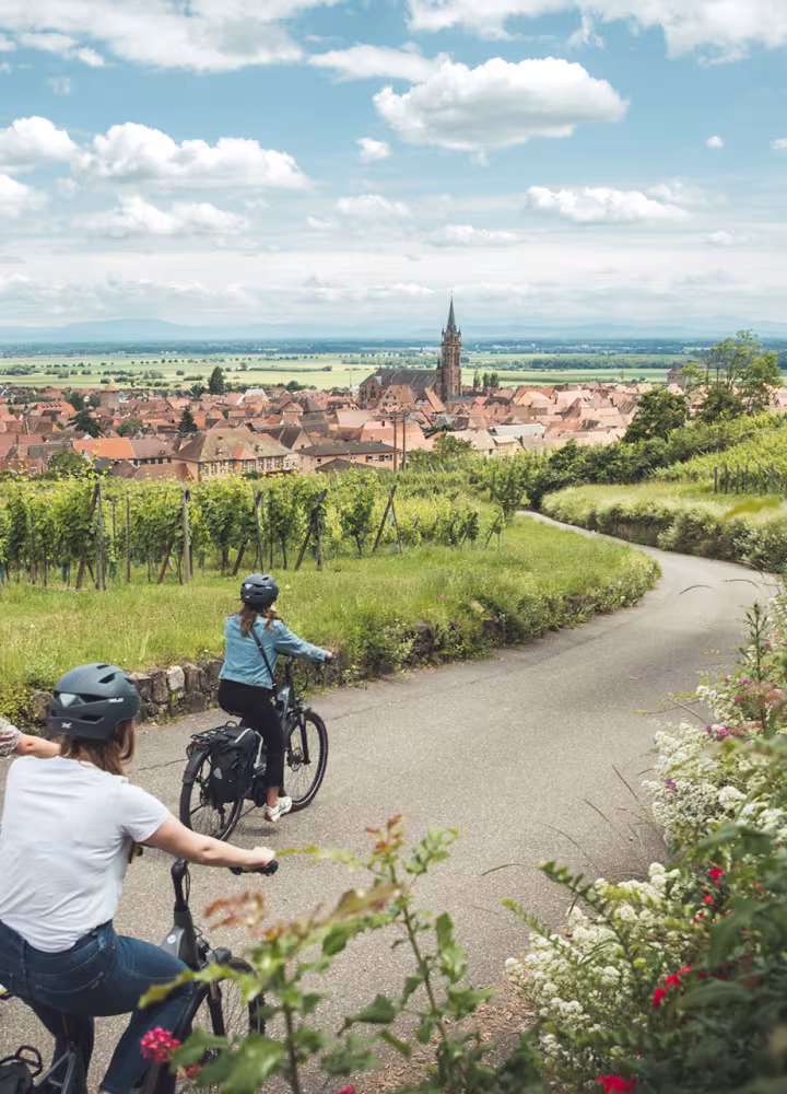 Balade à vélo à Dambach-la-ville