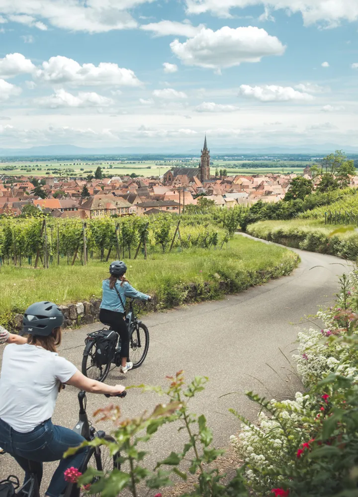 Balade à vélo à Dambach-la-ville