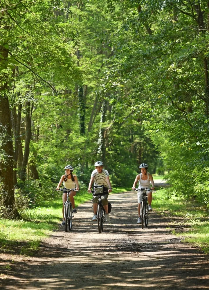Balade vélo en Sologne à Marcilly-en-Gault