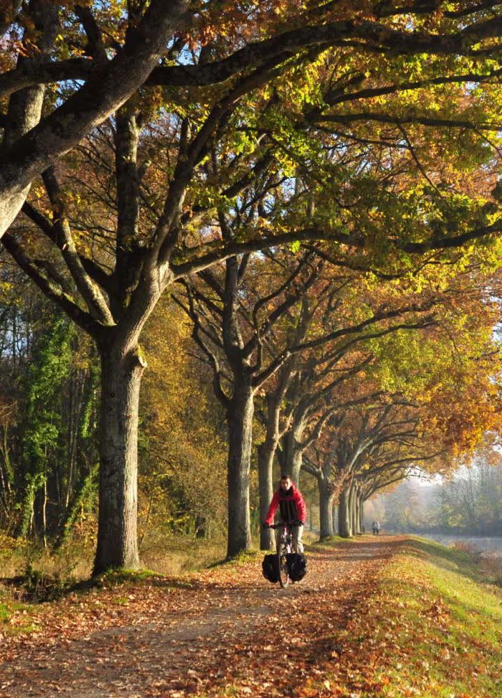 Le canal de Nantes à Brest en Automne vers Pontivy