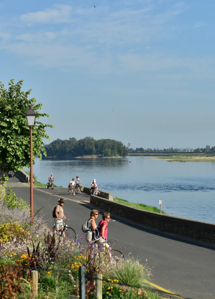 Cyclists on the banks of the Loire in Le Thoureil