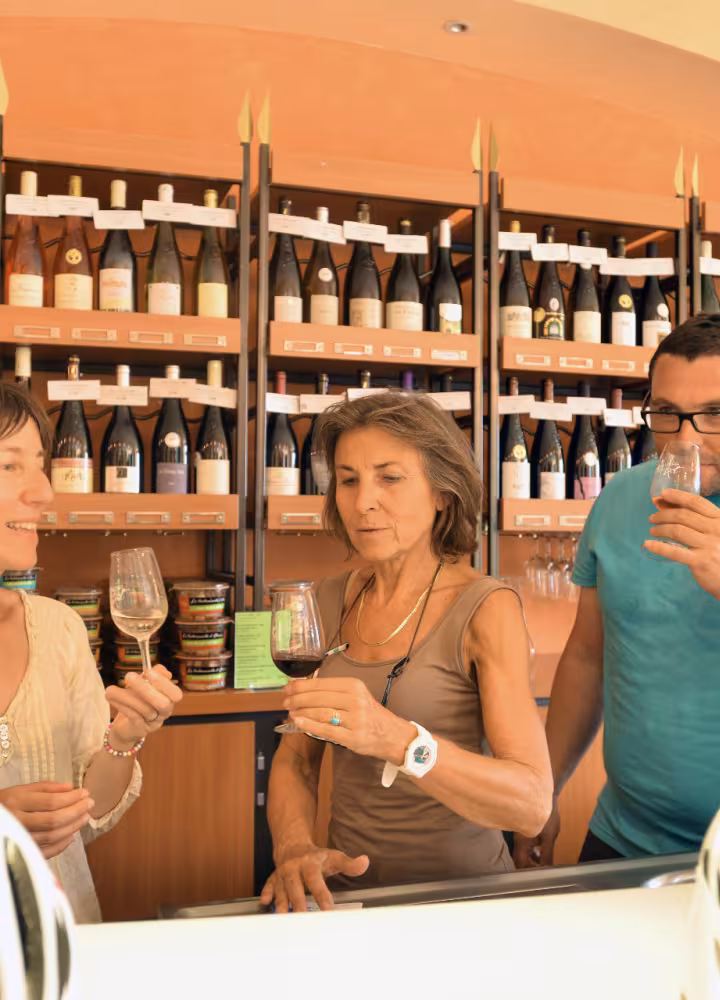 Tasting of Loire wines in Angers