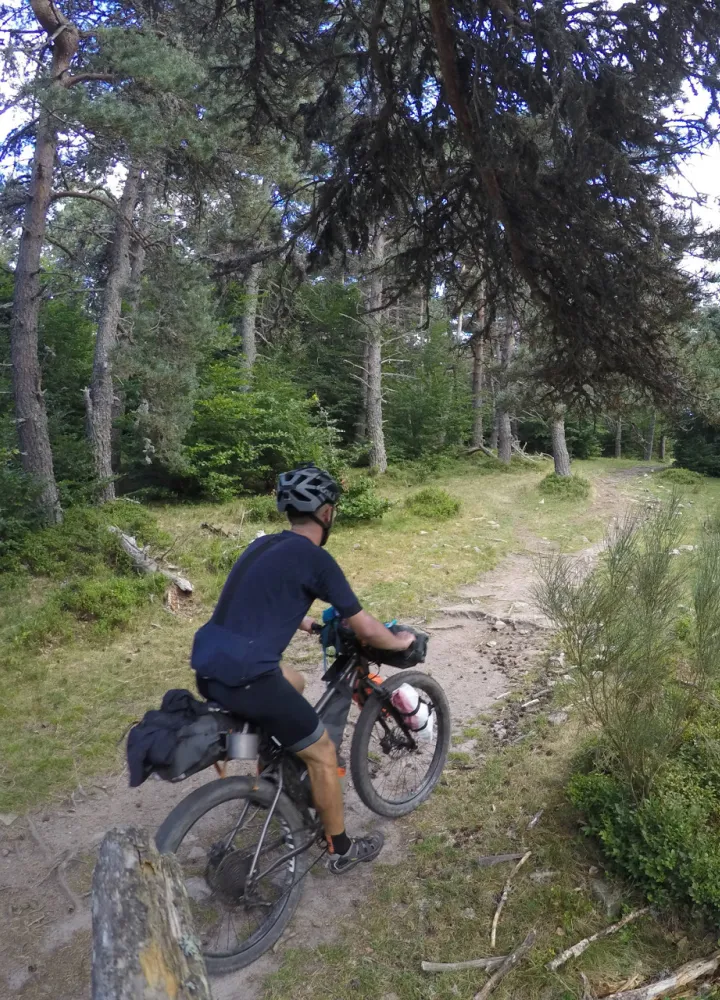 Forêt du domaine du Sauvage à VTT
