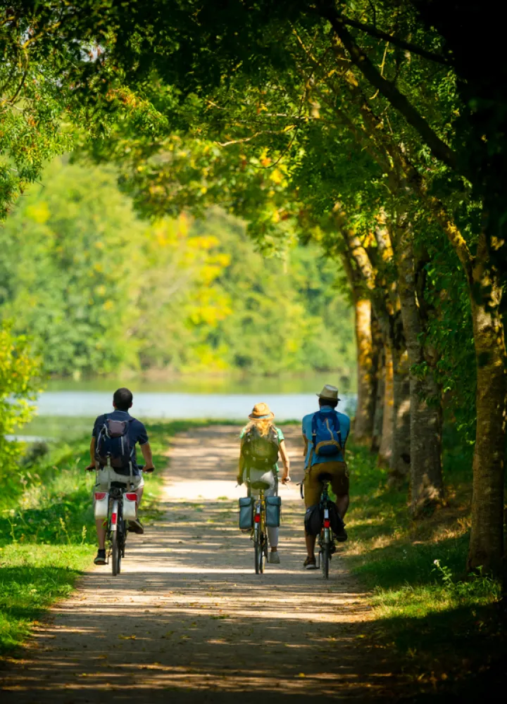 Voie verte au bord de l'eau - La Vélobuissonnière