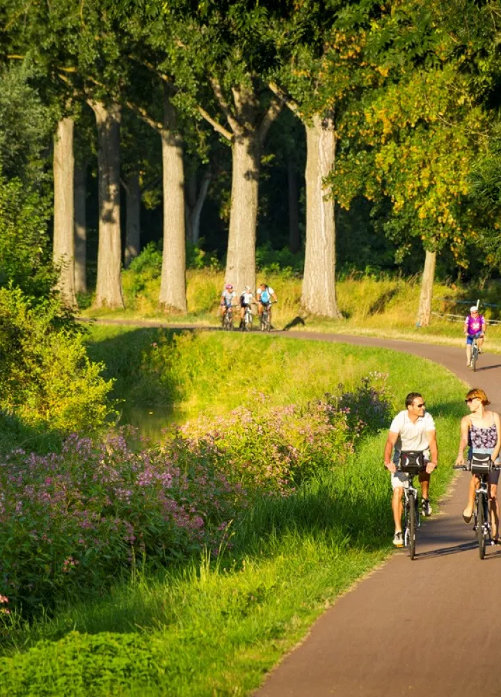 EuroVelo 5 : canal de la Bruche à Ergersheim - adt67