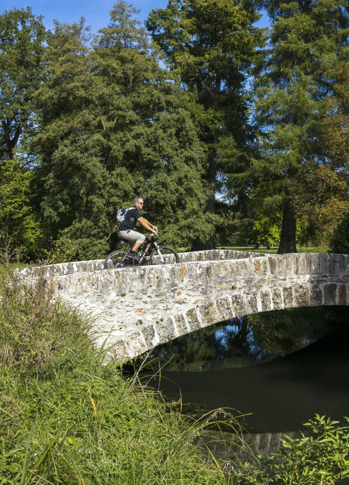Traversée d'un vieux pont à vélo dans la forêt de Rambouillet