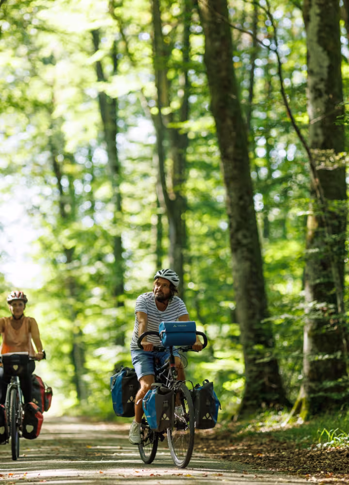 Forêt de Fontainebleau à vélo