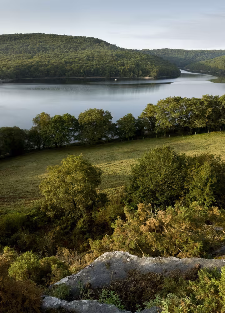 Guerlédan's Lake