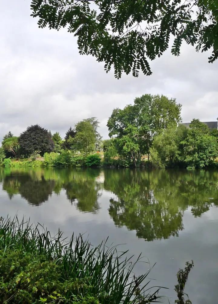 Le long du chemin de halage de la Mayenne
