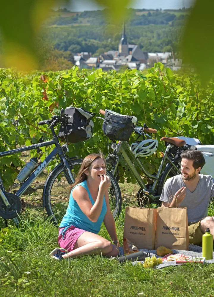Picnic and cycling in the vineyards of the Loir Valley