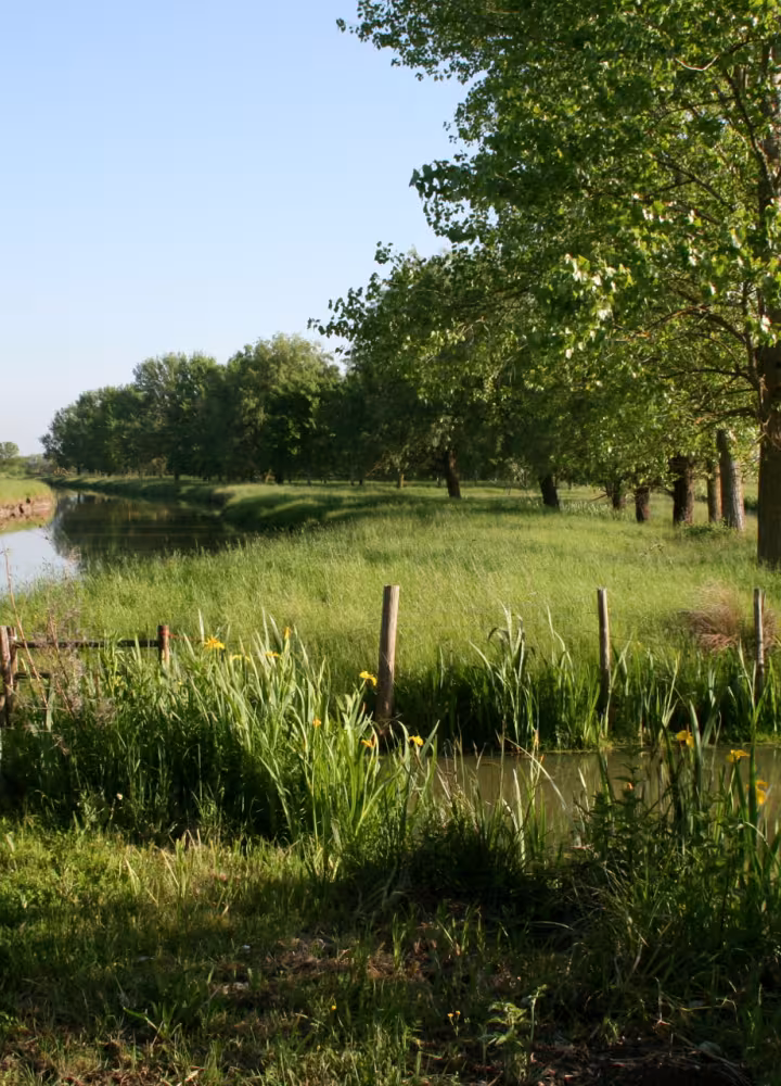 Marais Poitevin