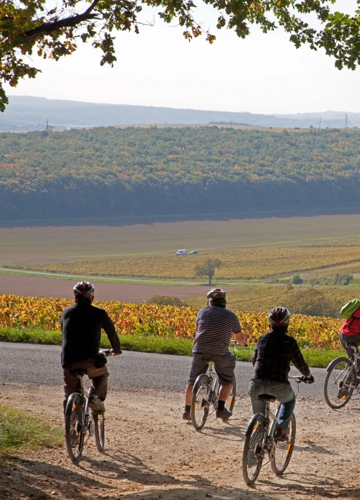 Les vignes de Sancerre à vélo