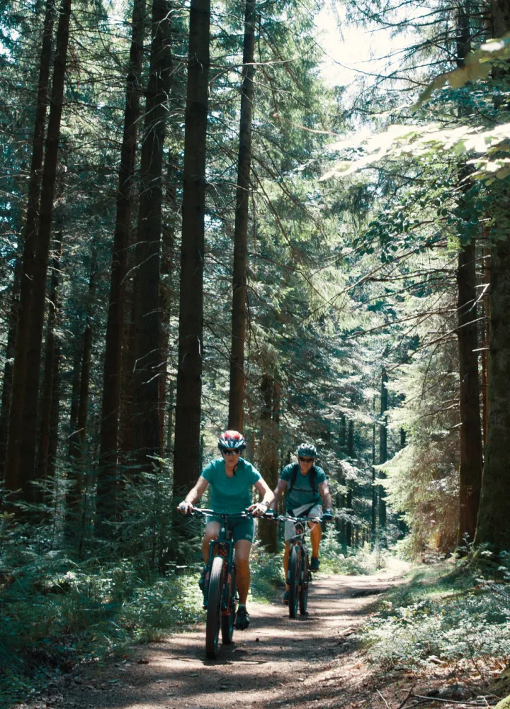 Sur la GTMC VTT dans les forêts du Morvan vers le Haut Folin