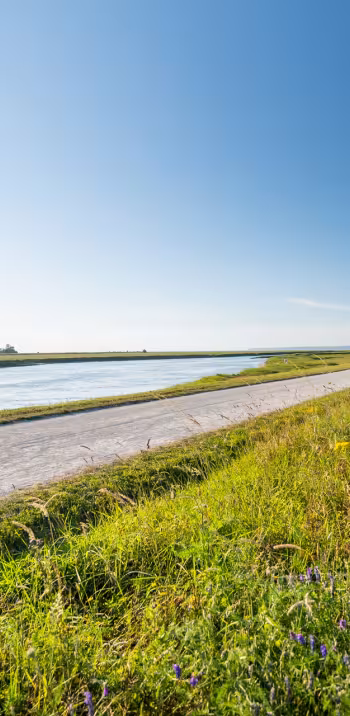 Arrivée à vélo au Mont-Saint-Michel