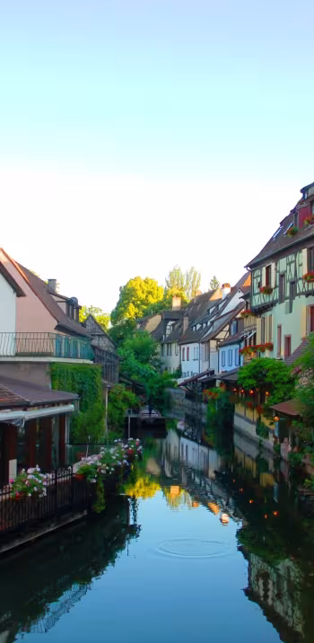 alsace_velo_safrantours_13.jpg