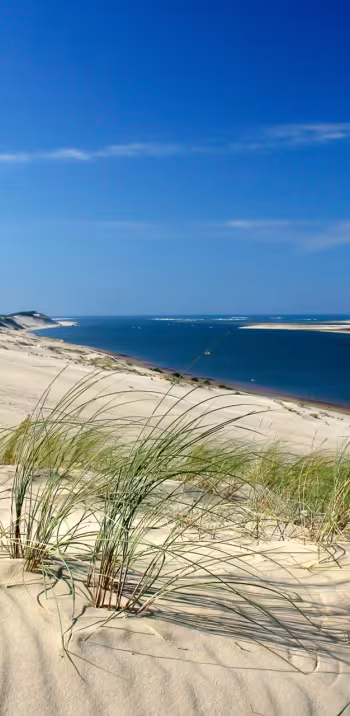 Séjour autour du bassin d'Arcachon avec Safrantours