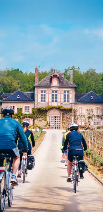 Châteaux et vignobles