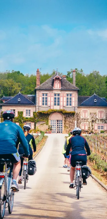 Châteaux et vignobles