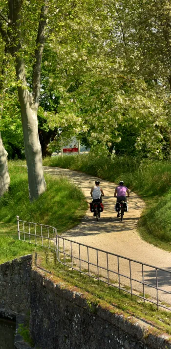 The Canal du Midi by bike from Toulouse to Carcassonne