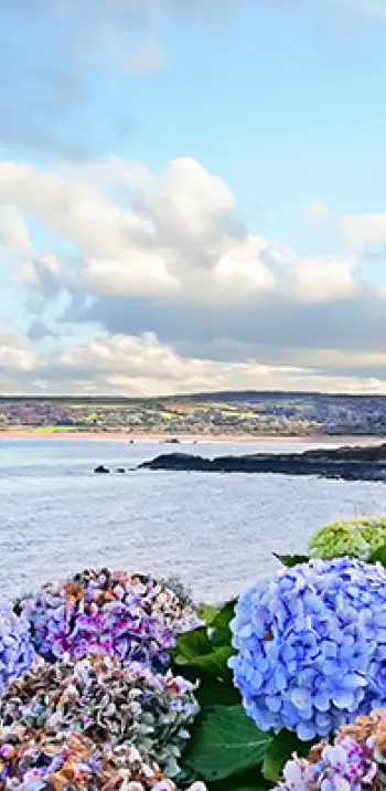 Le tour de la presqu'île du Cotentin 