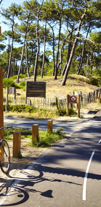 Forêt des Landes