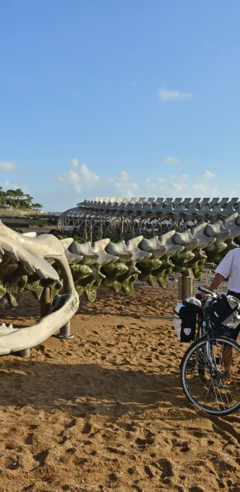 Avec le vent comme complice 