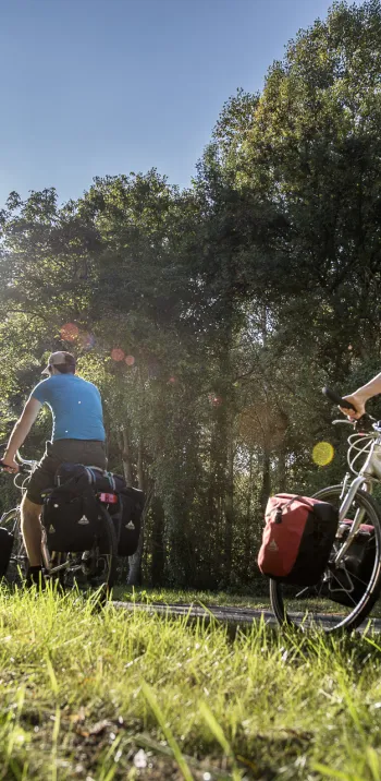 Vélo à Vouvray - Saint Jacques à vélo