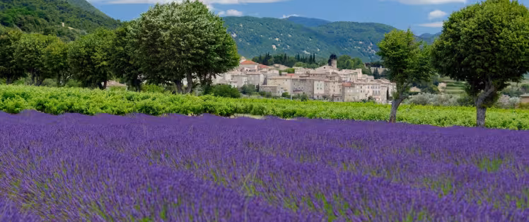 Séjours vélo en Provence avec Safrantours