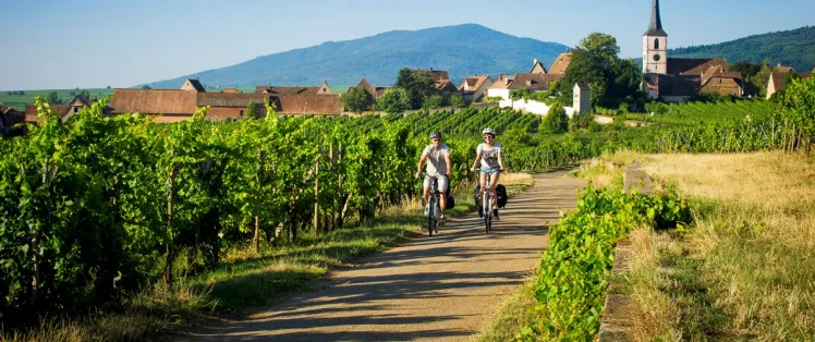 La véloroute du vignoble d'Alsace jusqu'à Colmar
