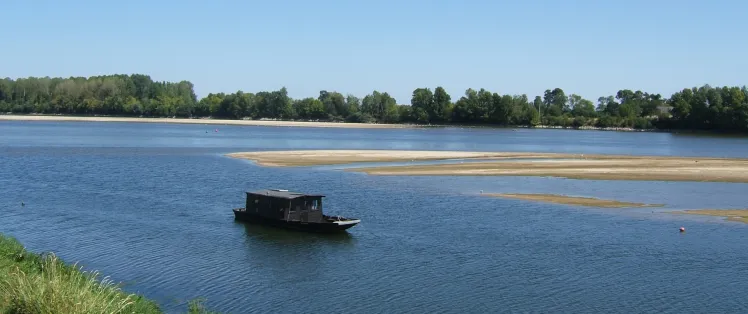 La Loire au Thoureil - La Loire à vélo