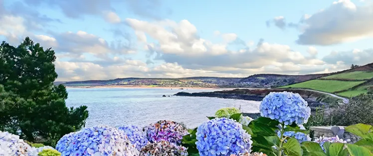 Le tour de la presqu'île du Cotentin 