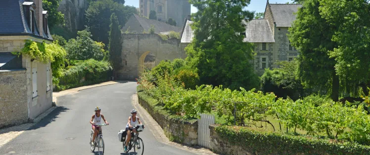 Montreuil-Bellay sur La Vélo Francette