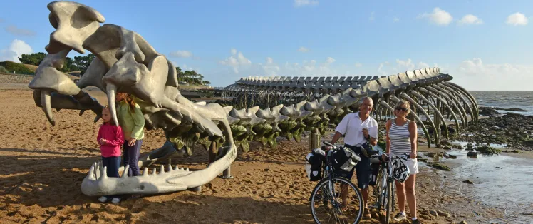 Avec le vent comme complice 