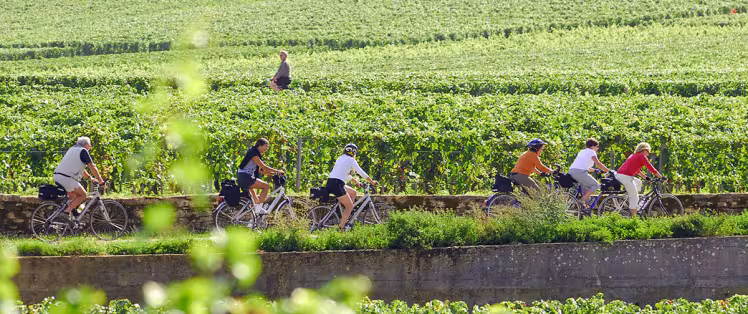 Vine route by bike in Burgundy 