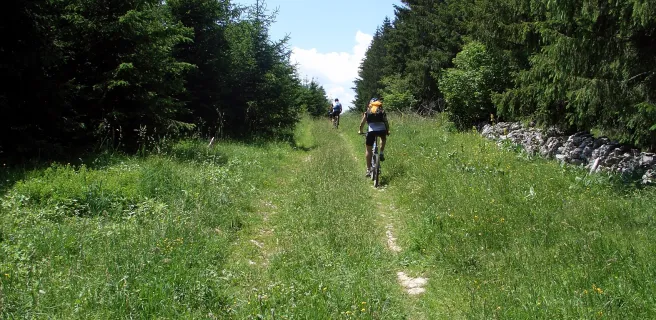 Fournet-Blancheroche / La Perdrix