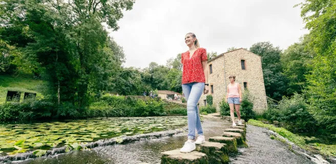 Montaigu-Vendée / La Rabatelière