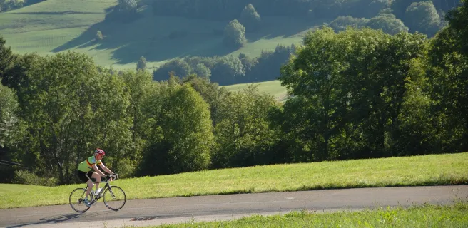 Saint-Laurent-En-Grandvaux / Morez