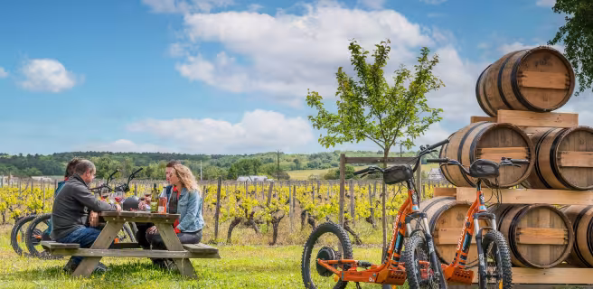 Grands crus et belles demeures – Boucle vélo n°23