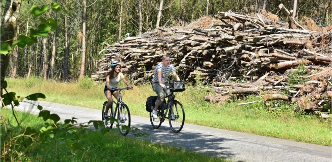 La Sologne à vélo