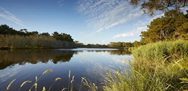 The gulf of Morbihan by bike