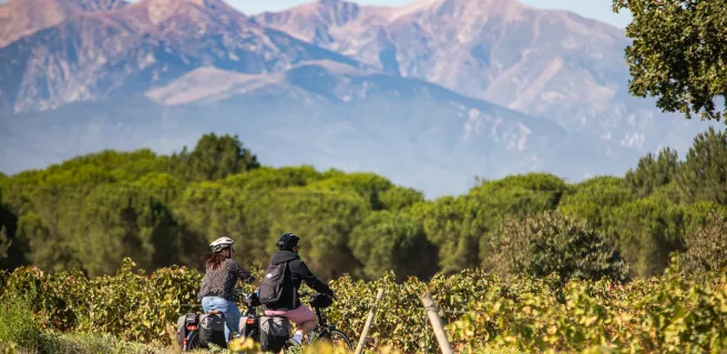 Le Perthus / Argelès sur Mer
