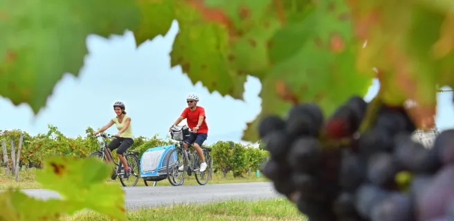 Entre vignes et vergers, de la Loire au Loiret - Boucle vélo n°2