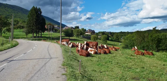 Alternative stage Lescheraines / Beaufort-sur-Doron